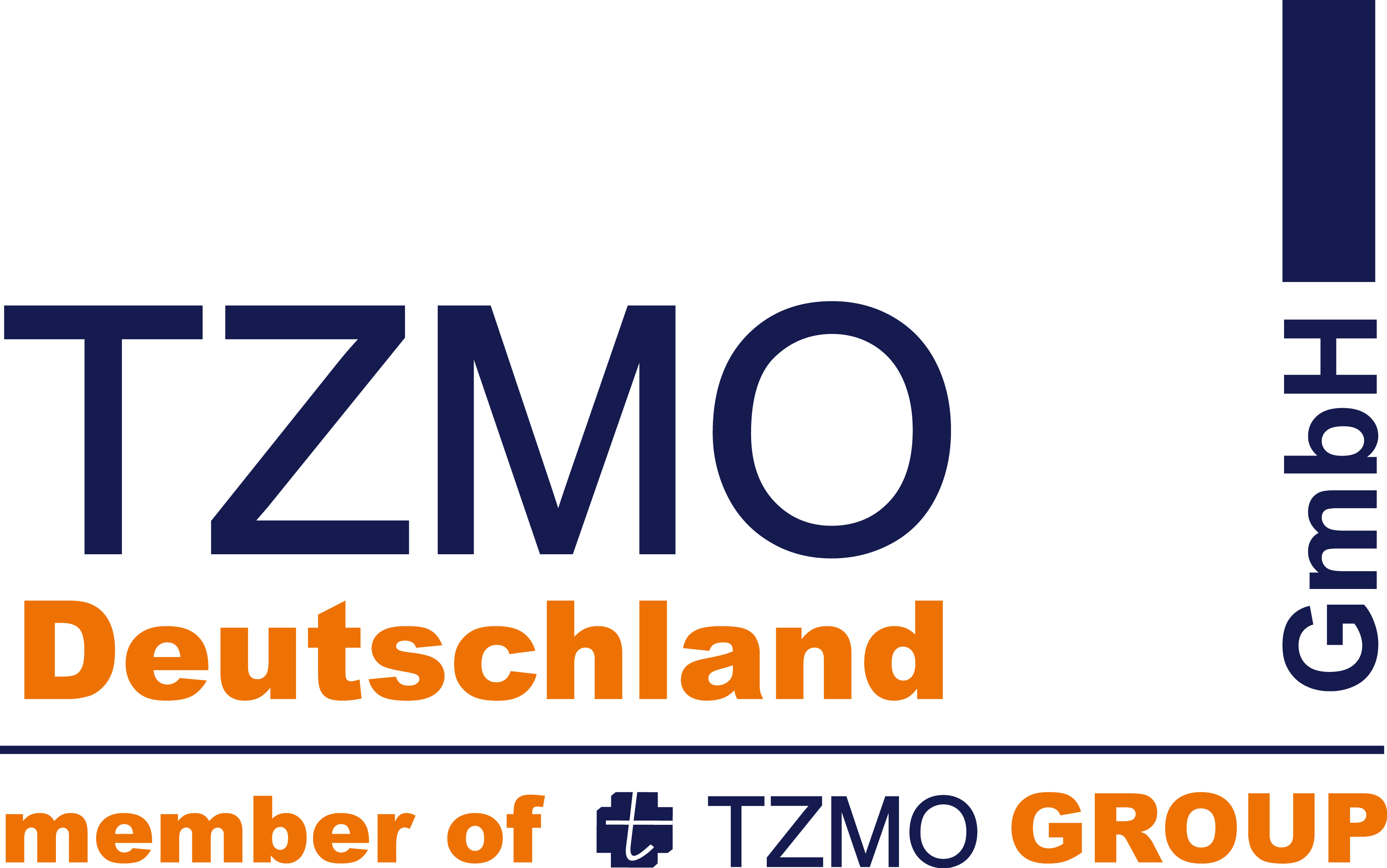 Logo TZMO Deutschland GmbH